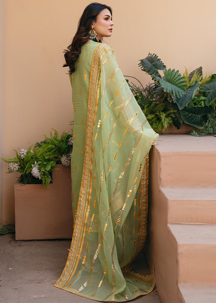 Daud Abbas | Formals Collection | Sunahri - House Of Anaya