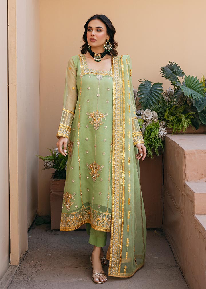 Daud Abbas | Formals Collection | Sunahri - House Of Anaya