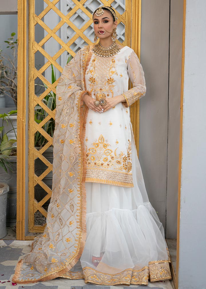 Daud Abbas | Formals Collection | Tamana - House Of Anaya