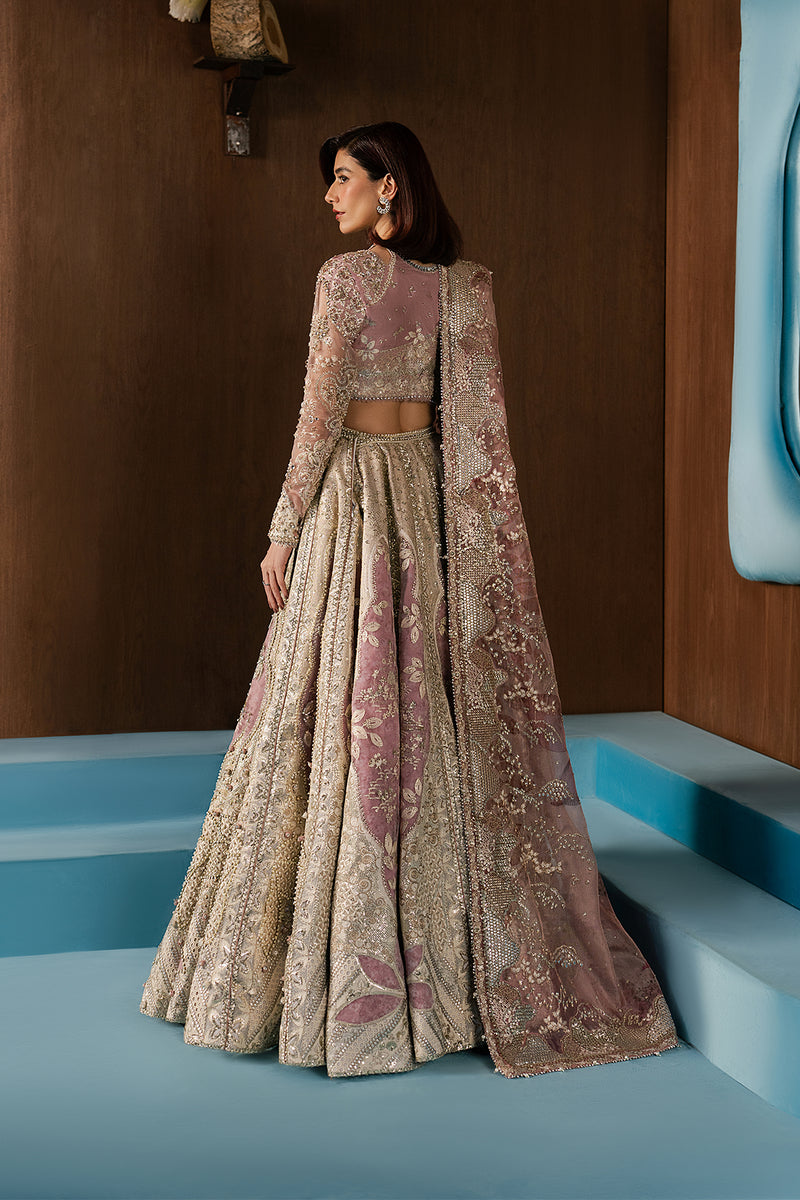 Afrozeh | Hayat Formals 25 | Zaviyah
