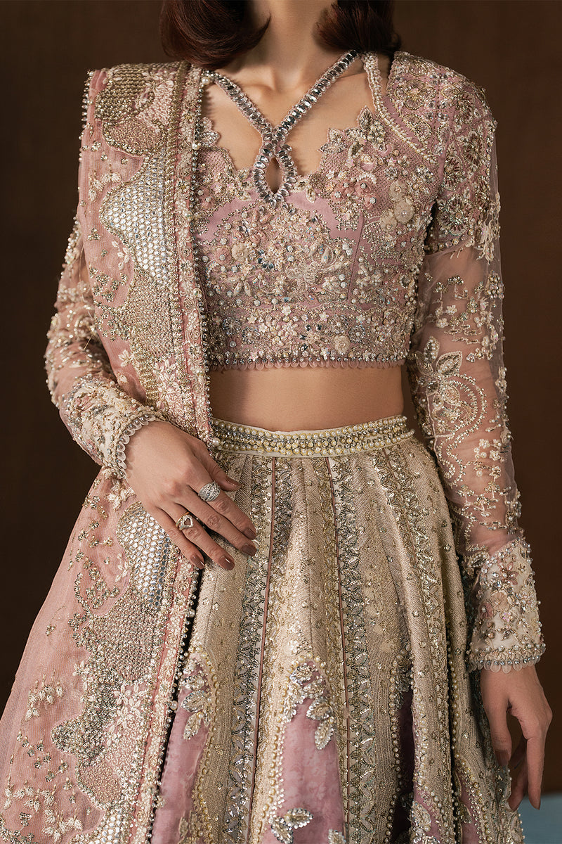 Afrozeh | Hayat Formals 25 | Zaviyah