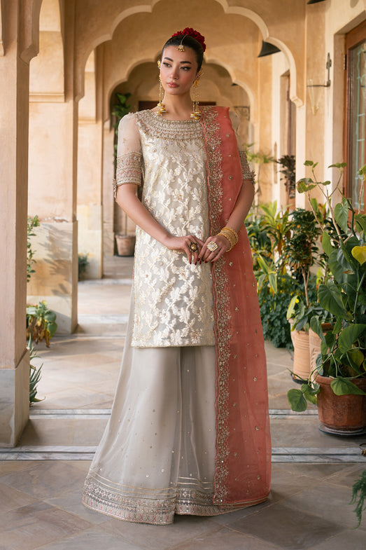 Naqshi | Tabeer Festive Dresses | Ablaaj