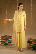 Naqshi | Festive Eid 26 | Aahal