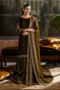 Naqshi | Nazleen Velvet | Danara