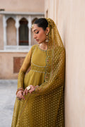 Naqshi | Tabeer Festive Dresses | Lehr