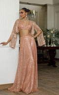 Net Embroidered Jacket With Skirt - Riwayat-e-khas
