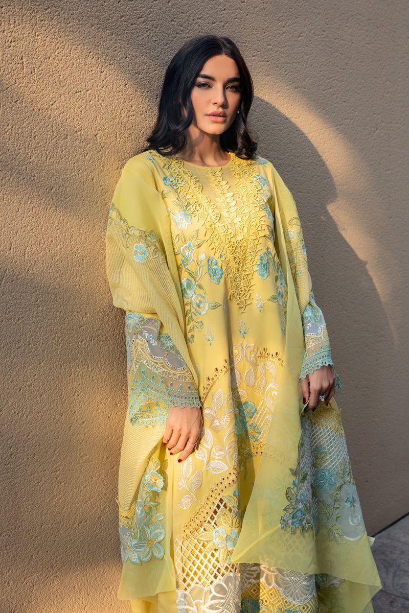 Rang Rasiya - Amani - House of Zarish