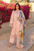 Rang Rasiya - Camilia - House of Zarish