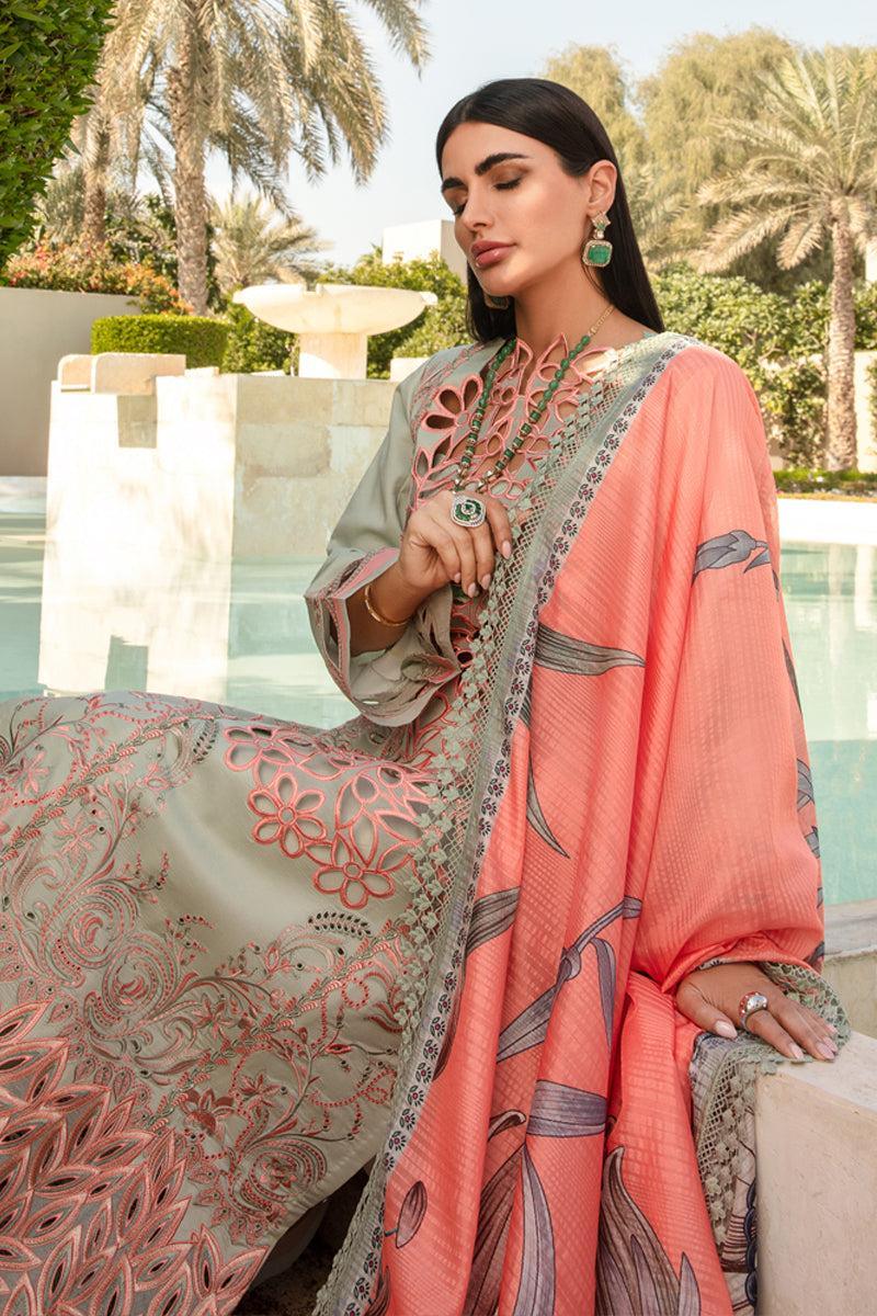 Rang Rasiya - Orchid - House of Zarish