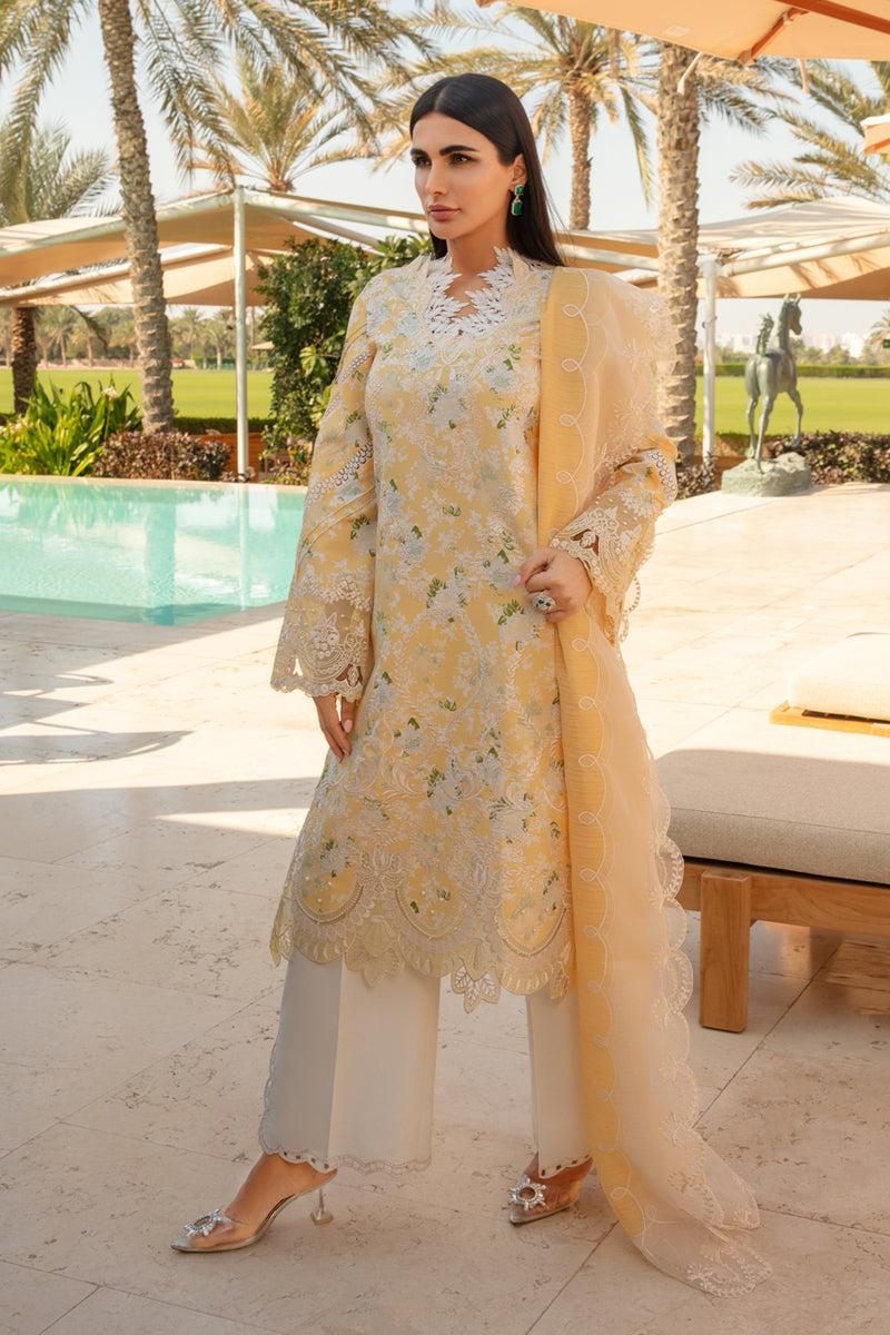 Rang Rasiya - Ariana - House of Zarish