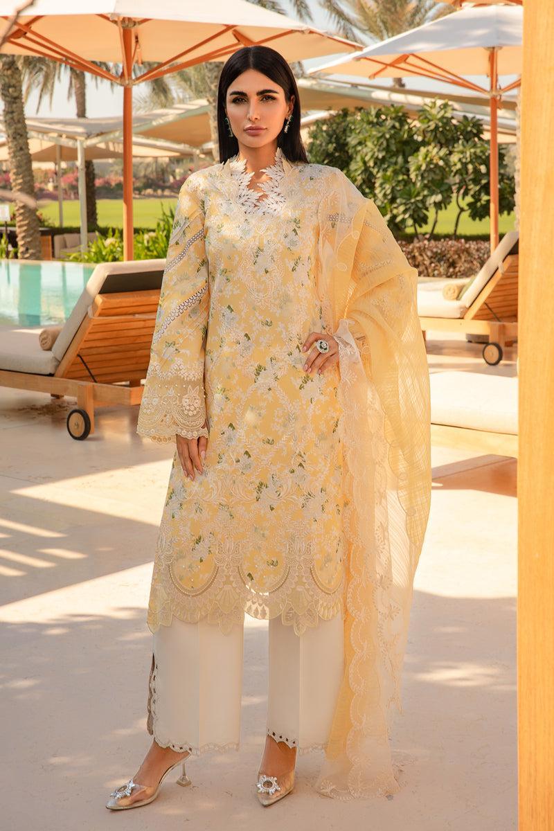 Rang Rasiya - Ariana - House of Zarish