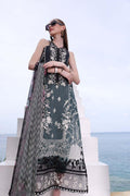 Noor by Sadia Asad - D2B - House of Zarish