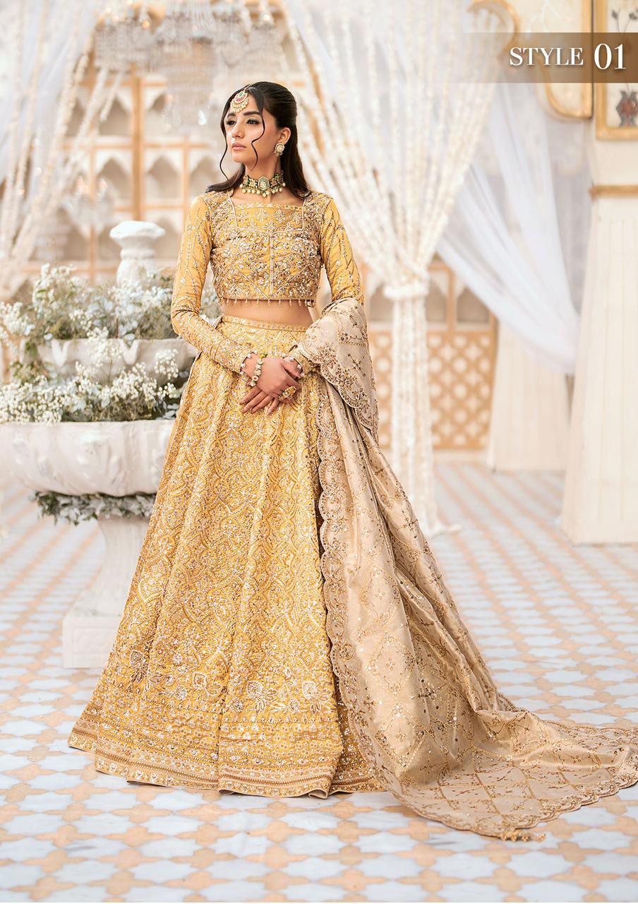Aik - Wedding Festival'24 Look 09 - House of Zarish