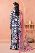 Adans Libas | Khaddar 25 | SLUB 7756