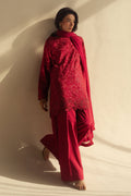 Zara Shahjahan | Fall Festive 24 | ZC-2071 - House Of Anaya