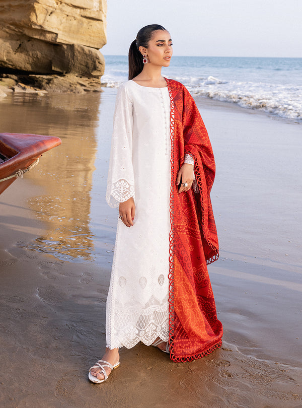 Zainab chottani | Luxury Chikankari 24 | CHUNARI - 3A - House of Zarish