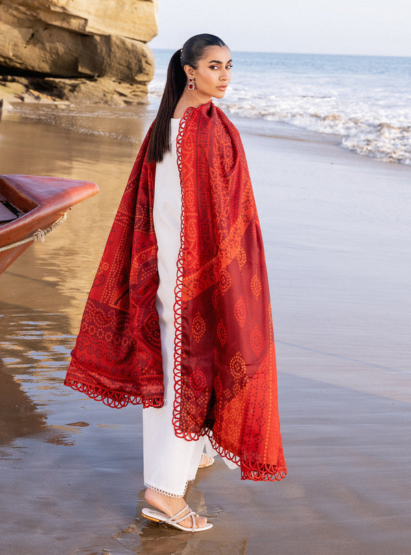Zainab chottani | Luxury Chikankari 24 | CHUNARI - 3A - House of Zarish
