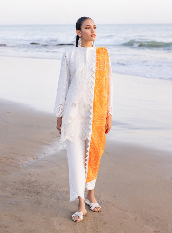 Zainab chottani | Luxury Chikankari 24 | CHUNARI - 3B - House of Zarish