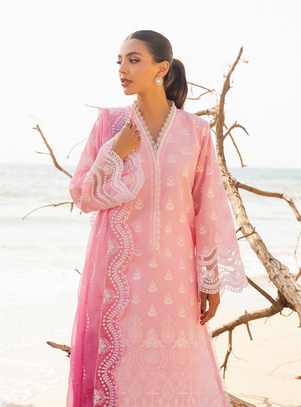 Zainab chottani | Luxury Chikankari 24 | AMYRA - 8B - House of Zarish