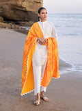 Zainab chottani | Luxury Chikankari 24 | CHUNARI - 3B - House of Zarish