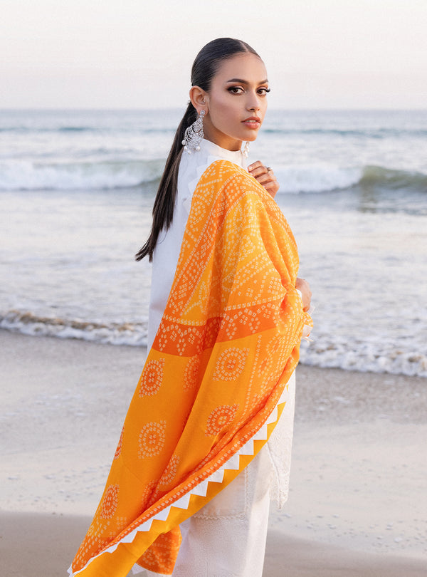 Zainab chottani | Luxury Chikankari 24 | CHUNARI - 3B - House of Zarish