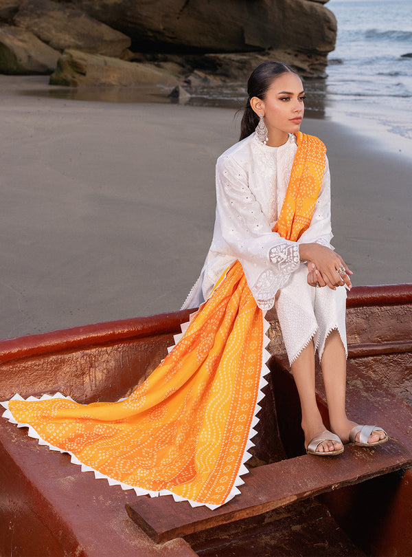 Zainab chottani | Luxury Chikankari 24 | CHUNARI - 3B - House of Zarish