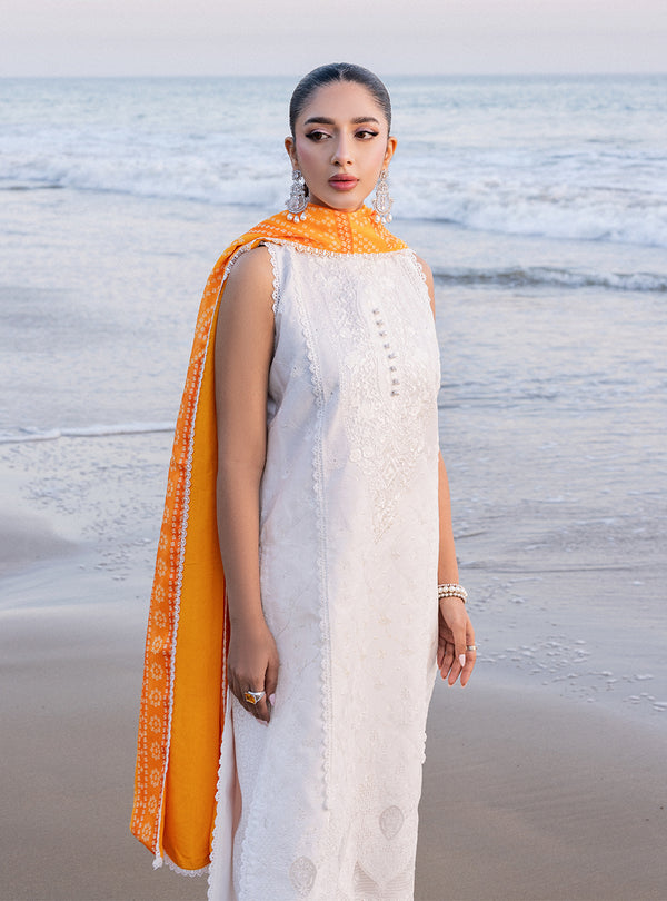 Zainab chottani | Luxury Chikankari 24 | CHUNARI - 3B - House of Zarish