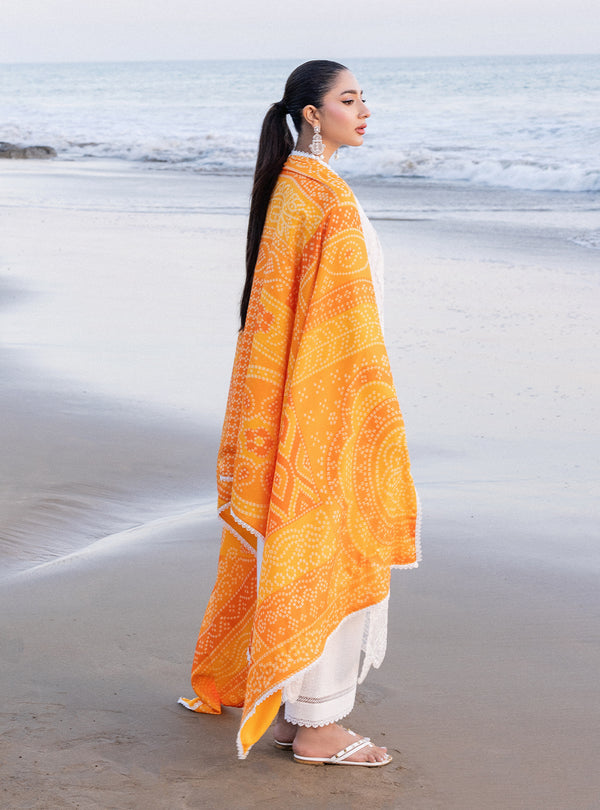 Zainab chottani | Luxury Chikankari 24 | CHUNARI - 3B - House of Zarish