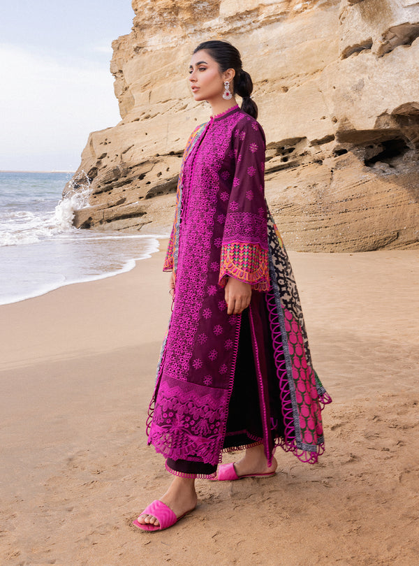 Zainab chottani | Luxury Chikankari 24 | NAYSA - 4B - House of Zarish