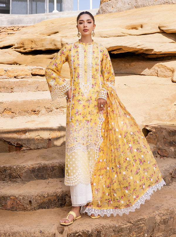 Zainab chottani | Luxury Chikankari 24 | ESME - 9B - House of Zarish