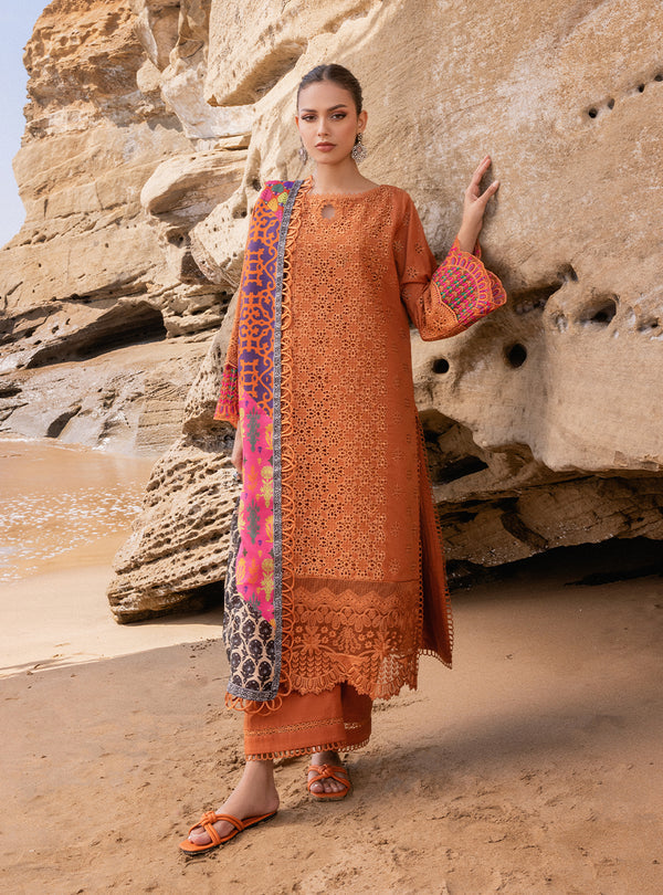Zainab chottani | Luxury Chikankari 24 | NAYSA - 4A - House of Zarish