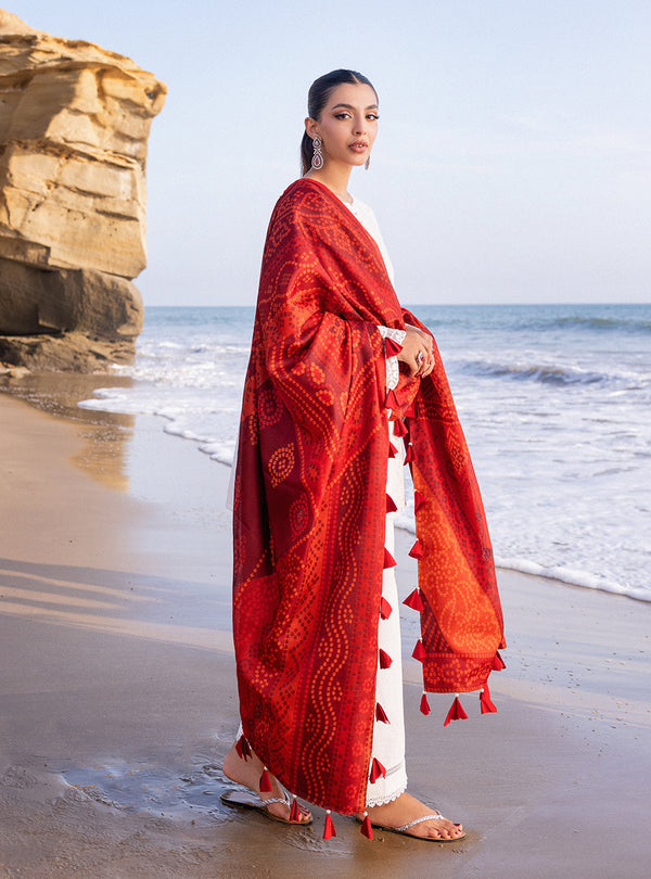 Zainab chottani | Luxury Chikankari 24 | CHUNARI - 3A - House of Zarish