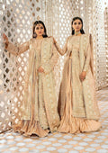 Aik Atelier | Wedding Festive 24 | 06 - House Of Anaya