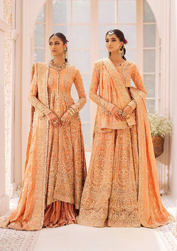 AIK ATELIER | WEDDING FESTIVE ’24 Vol-2 | LOOK 06