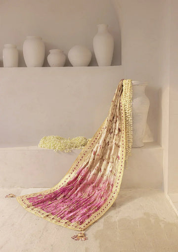 Aik Atelier | WEDDING FESTIVE ’25 VOL. 2 | LIGHT GOLD TISSUE SHAWL