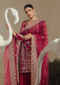 Aik Atelier | Aik Shaam 26 Vol 3 | Look C2605 - 5
