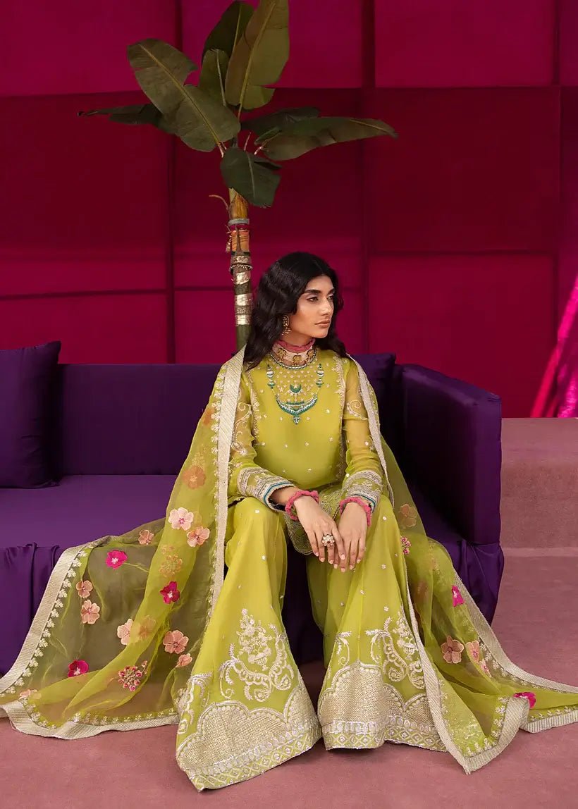 Ali Xesshan | Bhaag Lagay Rain | ANGORI BAGH – LP-010