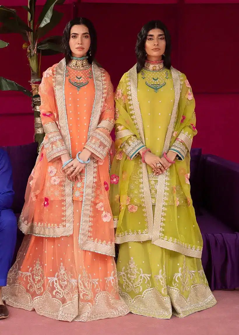 Ali Xesshan | Bhaag Lagay Rain | ANGORI BAGH – LP-010