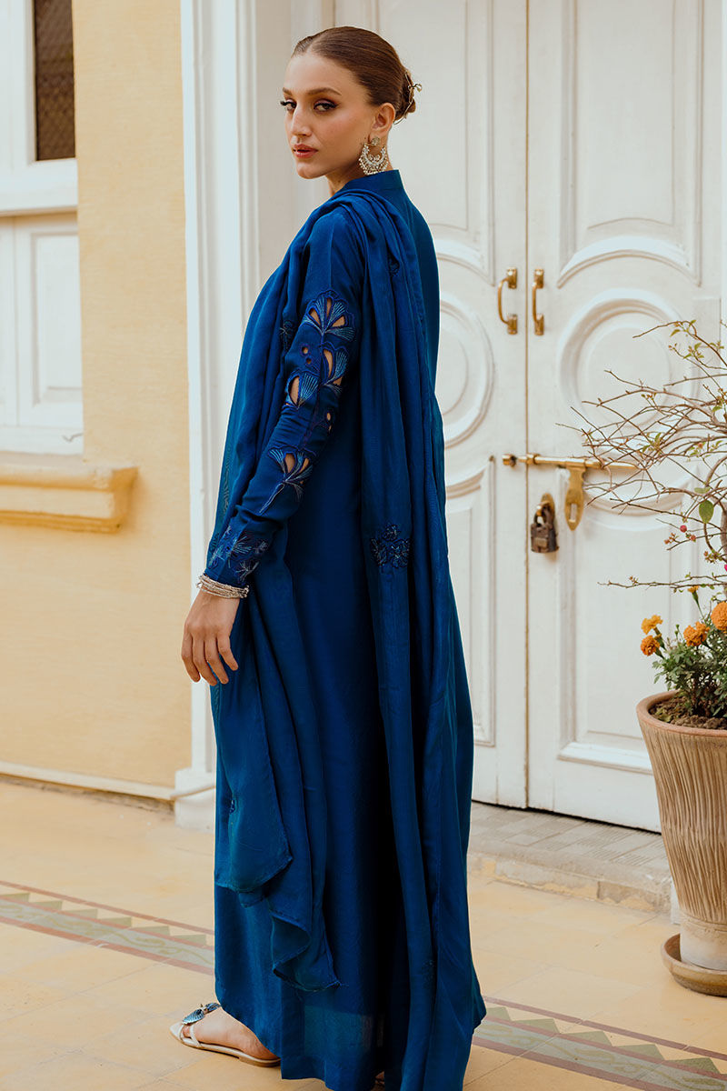Ansab Jahangir | Luxe Pret Eid 24 | INARA - House Of Anaya