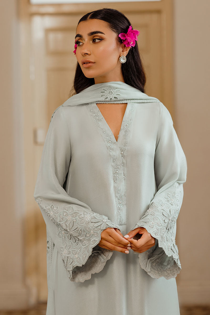 Ansab Jahangir | Luxe Pret Eid 24 | DAANAYA - House Of Anaya