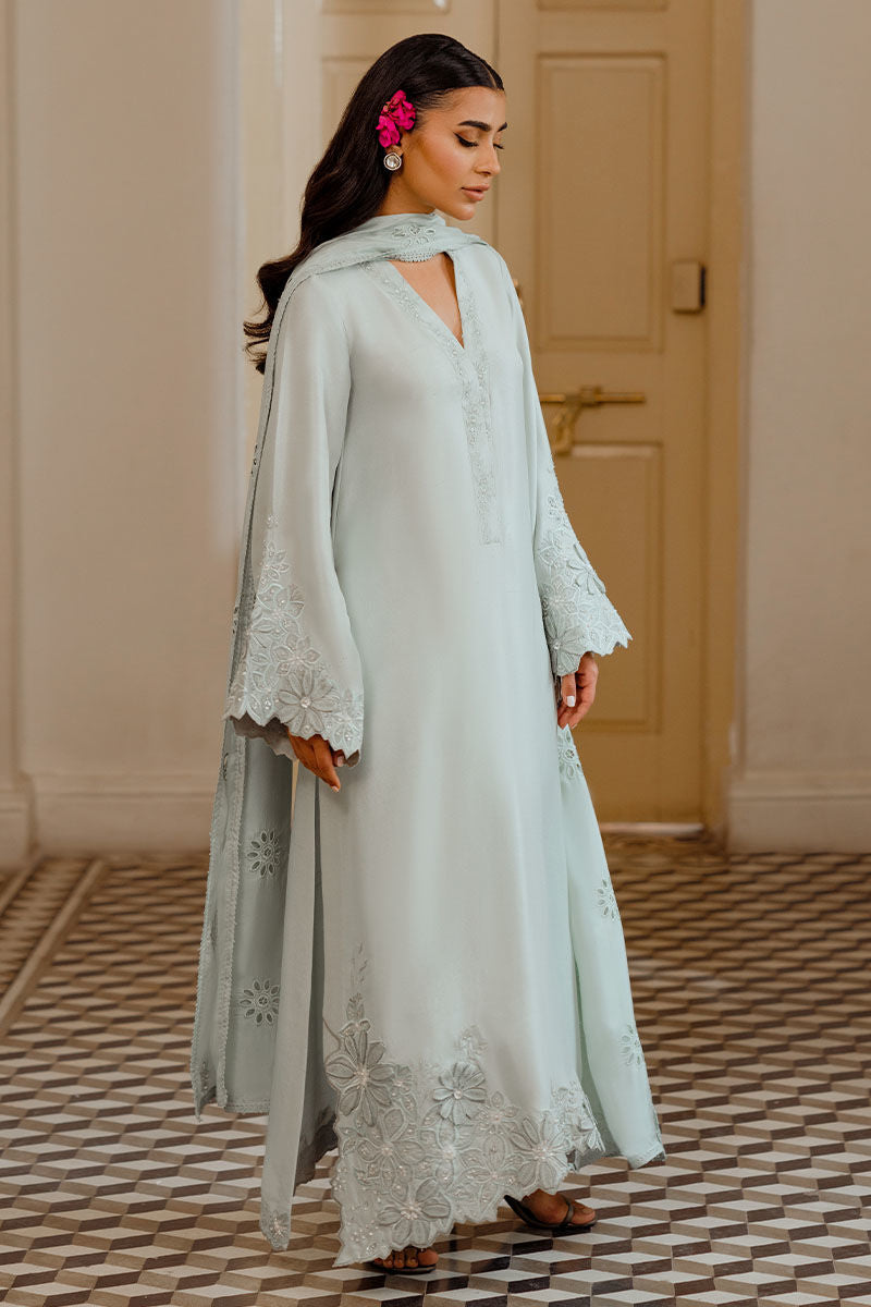 Ansab Jahangir | Luxe Pret Eid 24 | DAANAYA - House Of Anaya