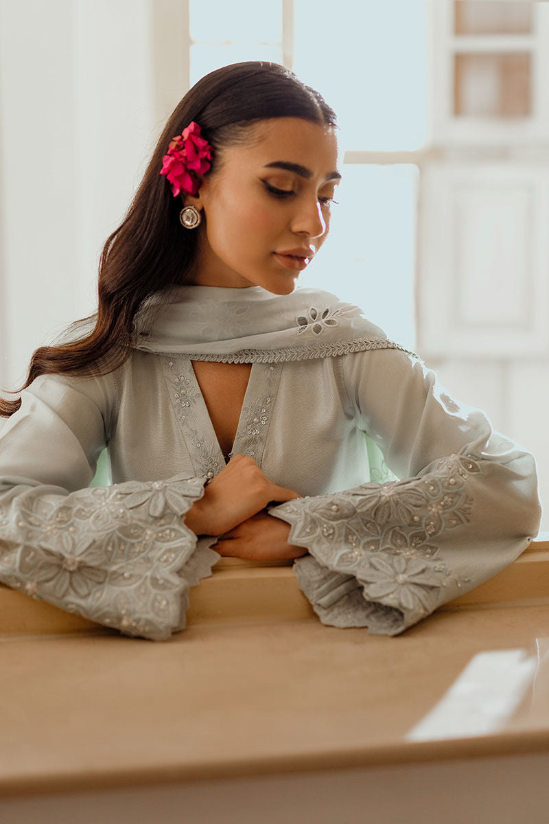 Ansab Jahangir | Luxe Pret Eid 24 | DAANAYA - House Of Anaya