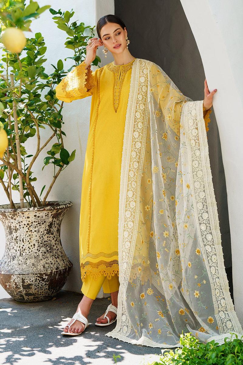 Baroque | Lawn Collection 24 | UF-562 - House Of Anaya