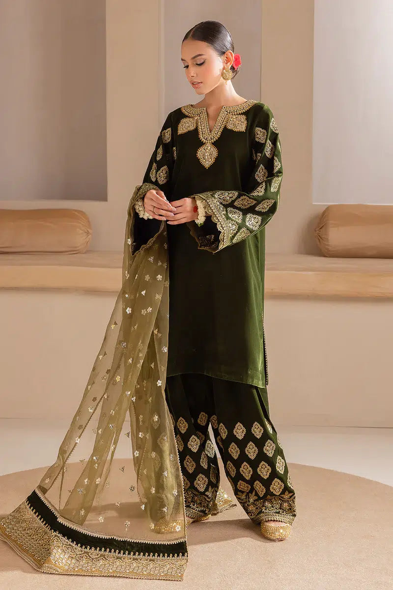 Baroque | Jahanara Luxury Velvet 23 | UF-425 - House Of Anaya