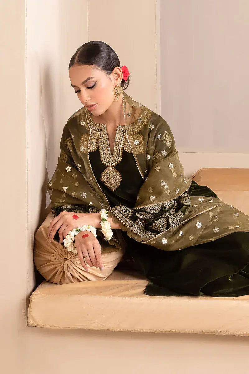 Baroque | Jahanara Luxury Velvet 23 | UF-425 - House Of Anaya