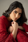 Cross Stitch | Chikankari Lawn 25 | CARMINE GRIS - House Of Anaya