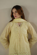 Cross Stitch | Chikankari Lawn 25 | LEMON ZEST - House Of Anaya