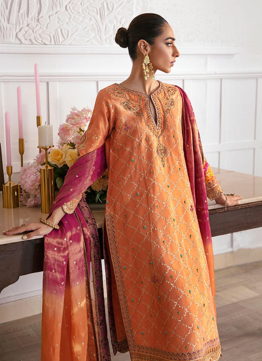 Farah Talib Aziz | Mayna Festive Luxe | ALEEN APRICOT - House Of Anaya