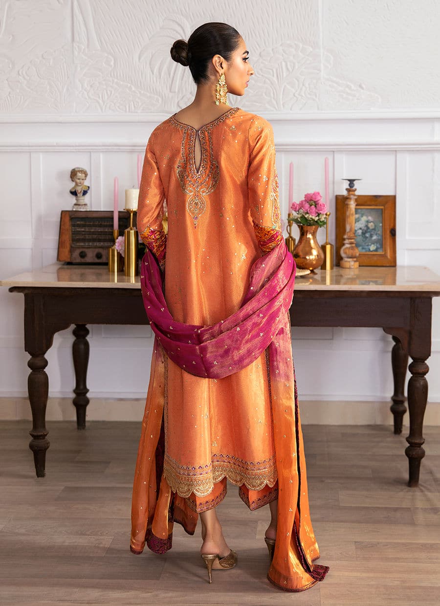 Farah Talib Aziz | Mayna Festive Luxe | ALEEN APRICOT - House Of Anaya