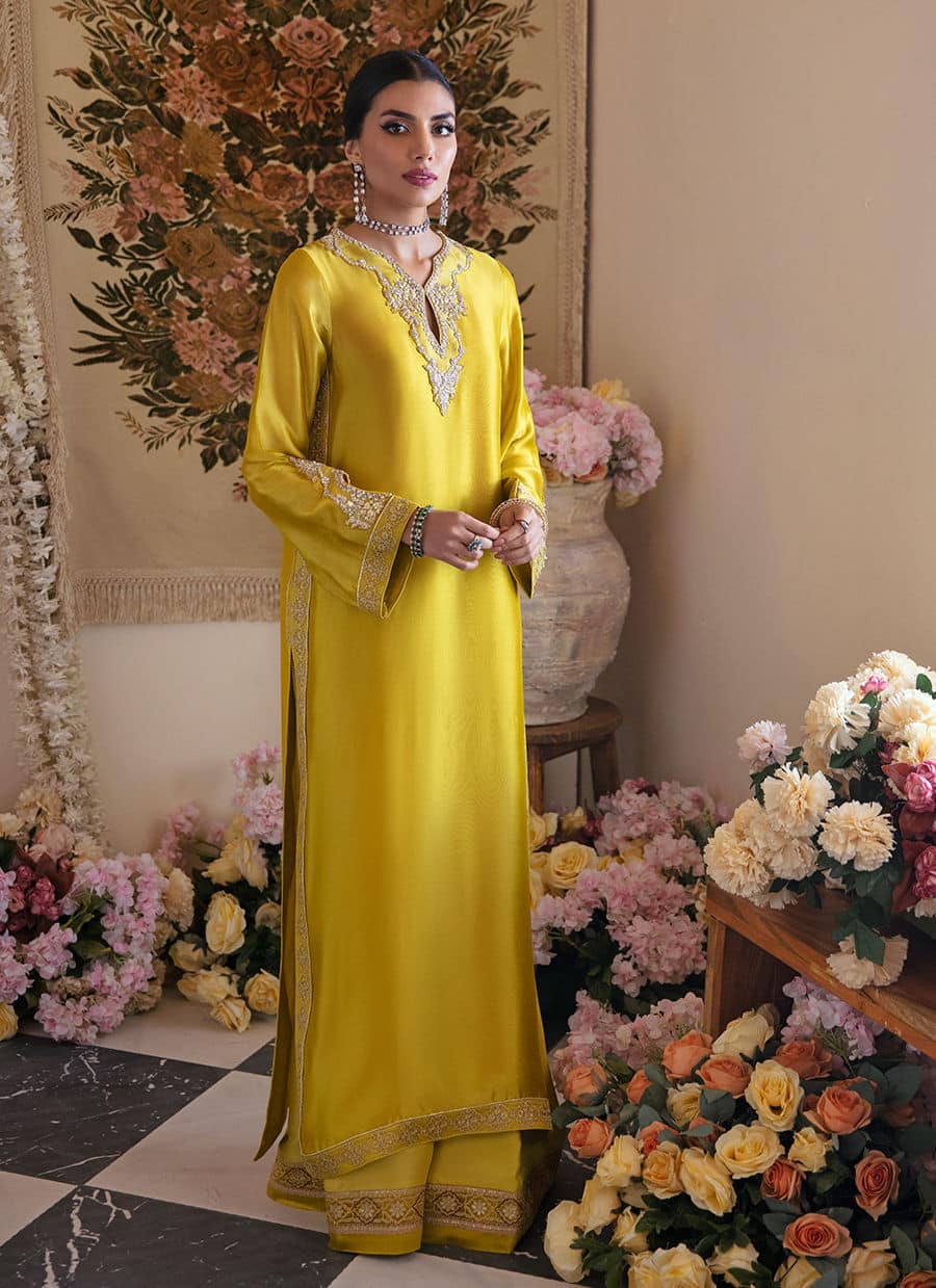 Farah Talib Aziz | Mayna Festive Luxe | Veesta Lime - House Of Anaya